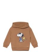 Snoopy Textured Sweatshirt Tops Sweatshirts & Hoodies Hoodies Brown Mango