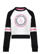 Juicy Colour Block Raglan Crew Bb Tops Sweatshirts & Hoodies Sweatshirts Multi/patterned Juicy Couture