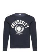 Nkntille Ls Sweat Bru Noos Tops Sweatshirts & Hoodies Sweatshirts Navy Name It