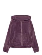 Nkflaral Ls Velour Card Wh Tops Sweatshirts & Hoodies Hoodies Burgundy Name It