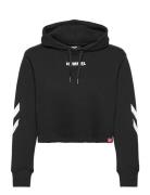 Hmllegacy Woman Cropped Hoodie Sport Sweatshirts & Hoodies Hoodies Black Hummel