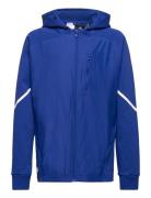 B D4Gmdy Fz Hd Sport Sweatshirts & Hoodies Hoodies Blue Adidas Sportswear