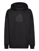 U Fi Logo Hd Sport Sweatshirts & Hoodies Hoodies Black Adidas Sportswear