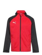 Teamliga Training Jacket Jr Sport Sweatshirts & Hoodies Sweatshirts Red PUMA