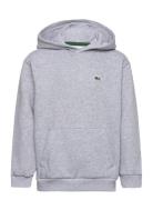 Sweatshirts Sport Sweatshirts & Hoodies Hoodies Grey Lacoste