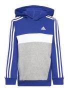 J 3S Tib Fl Hd Sport Sweatshirts & Hoodies Hoodies Blue Adidas Sportswear