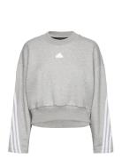 Future Icons 3-Stripes Sweatshirt Sport Sweatshirts & Hoodies Sweatshirts Grey Adidas Sportswear