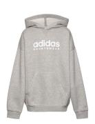 Fleece Hoodie Kids Sport Sweatshirts & Hoodies Hoodies Grey Adidas Sportswear