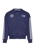 Lk Dy 100 Tt Sport Sweatshirts & Hoodies Sweatshirts Navy Adidas Performance