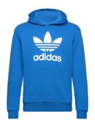 Trefoil Hoodie Sport Sweatshirts & Hoodies Hoodies Blue Adidas Originals