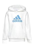 Big Logo Essentials Cotton Hoodie Sport Sweatshirts & Hoodies Hoodies White Adidas Performance