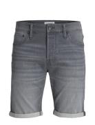 Jjirick Jjicon Shorts Ge 370 I.k Ss24 Sn Bottoms Shorts Denim Grey Jack & J S