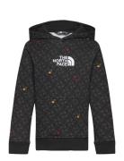 B Drew Peak Light P/O Hoodie Print Sport Sweatshirts & Hoodies Hoodies Black The North Face