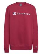 Crewneck Sweatshirt Sport Sweatshirts & Hoodies Sweatshirts Burgundy Champion