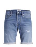 Jjirick Jjicon Shorts Ge 709 I.k Ss24 Sn Bottoms Shorts Denim Blue Jack & J S