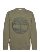 Kennebec River Tree Logo Crew Neck Sweatshirt Cassel Earth/Grape Leaf Designers Sweatshirts & Hoodies Sweatshirts Green Timberland