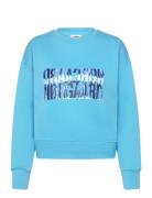 Organic Sweat Tilvina Sweatshirt Tops Sweatshirts & Hoodies Sweatshirts Blue Mads Nørgaard