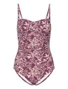 Bologna Swimsuit Badedragt Badetøj Purple Missya