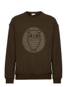 Loose Fit Sweat With Owl Print - Go Tops Sweatshirts & Hoodies Sweatshirts Khaki Green Knowledge Cotton Apparel