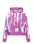 Hoodie  Sport Sweatshirts & Hoodies Hoodies Multi/patterned Adidas Originals