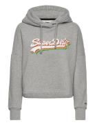 Vintage Logo Rainbow Hood Tops Sweatshirts & Hoodies Hoodies Grey Superdry