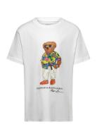 Polo Bear Cotton Jersey Tee Tops T-Kortærmet Skjorte White Ralph Lauren Kids