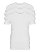 Slim Crewneck 3-Pack Tops T-Kortærmet Skjorte White Polo Ralph Lauren Underwear