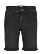 Jjirick Jjoriginal Shorts Am 600 Jnr Bottoms Shorts Black Jack & J S