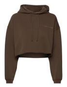 Pro Cropped Sweat Hoodie Tops Sweatshirts & Hoodies Hoodies Brown H2O Fagerholt