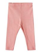 Rib Leggings Maddy Bottoms Leggings Pink Wheat