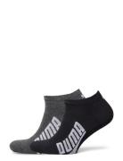 Puma Unisex Bwt Lifestyle Sneaker Lingerie Socks Footies-ankle Socks Black PUMA