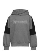 Hmlboxline Hoodie Sport Sweatshirts & Hoodies Hoodies Grey Hummel