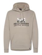 Arctic Ocean Hoodie Tops Sweatshirts & Hoodies Hoodies Beige Helly Hansen