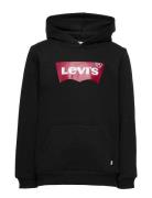 Levi's® Screenprint Batwing Pullover Hoodie Tops Sweatshirts & Hoodies Hoodies Black Levi's