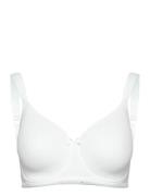 Smooth Line Padded Wired Bra White Lingerie Bras & Tops Full Cup Bras White Swegmark