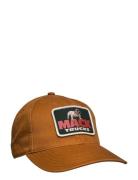 Mack Truck Hepcat Hazel American Needle Accessories Headwear Caps Brown American Needle