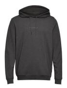 Jbs Of Dk Logo Hoodie Fsc Tops Sweatshirts & Hoodies Hoodies Grey JBS Of Denmark