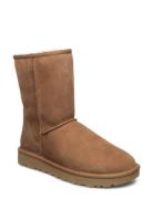 W Classic Short Ii Shoes Boots Ankle Boots Ankle Boots Flat Heel Brown UGG