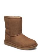 K Classic Ii Vinterstøvler Pull On Brown UGG