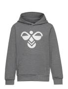 Hmlcuatro Hoodie Sport Sweatshirts & Hoodies Hoodies Grey Hummel