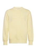 Reg Tonal Shield Cneck Sweat Tops Sweatshirts & Hoodies Sweatshirts Yellow GANT