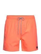 Daily Volley Badeshorts Coral Rip Curl