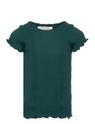 Cotton T-Shirt Tops T-Kortærmet Skjorte Green Rosemunde Kids