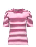 Slim Striped 1X1 Ribbed Ss T-Shirt Tops T-shirts & Tops Short-sleeved Pink GANT