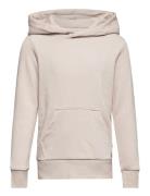 Jjebradley Sweat Hood Noos Jnr Tops Sweatshirts & Hoodies Hoodies Cream Jack & J S