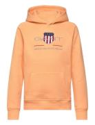 Archive Shield Hoodie Tops Sweatshirts & Hoodies Hoodies Coral GANT