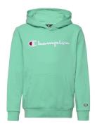 Hooded Sweatshirt Sport Sweatshirts & Hoodies Hoodies Green Champion