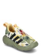 Monofit Tr Lion King I Low-top Sneakers Green Adidas Sportswear