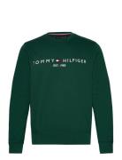 Tommy Logo Sweatshirt Tops Sweatshirts & Hoodies Sweatshirts Green Tommy Hilfiger