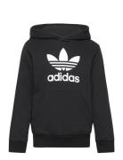 Trefoil Hoodie Tops Sweatshirts & Hoodies Hoodies Black Adidas Originals